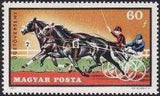 Hungary 1971 Equestrian Sport-Stamps-Hungary-StampPhenom