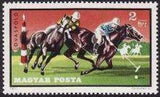 Hungary 1971 Equestrian Sport-Stamps-Hungary-StampPhenom