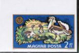 Hungary 1971 Great Bustard (Otis tarda)-Stamps-Hungary-Mint-StampPhenom