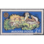 Hungary 1971 Great Bustard (Otis tarda)-Stamps-Hungary-Mint-StampPhenom