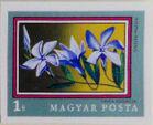 Hungary 1971 Herbaceous Periwinkle (Vinca herbacea)-Stamps-Hungary-Mint-StampPhenom
