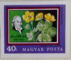 Hungary 1971 Josef Jacob Winterl and Waldsteinia geoides-Stamps-Hungary-Mint-StampPhenom