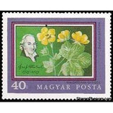 Hungary 1971 Josef Jacob Winterl and Waldsteinia geoides-Stamps-Hungary-Mint-StampPhenom