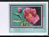 Hungary 1971 Romanian Peony (Paeonia officinalis ssp. banatica)-Stamps-Hungary-Mint-StampPhenom