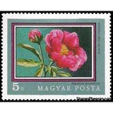 Hungary 1971 Romanian Peony (Paeonia officinalis ssp. banatica)-Stamps-Hungary-Mint-StampPhenom