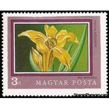 Hungary 1971 Sand Iris (Iris arenaria)-Stamps-Hungary-Mint-StampPhenom
