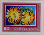 Hungary 1971 Titanopsis calcarea-Stamps-Hungary-Mint-StampPhenom