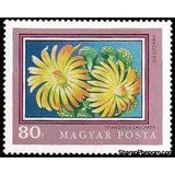 Hungary 1971 Titanopsis calcarea-Stamps-Hungary-Mint-StampPhenom