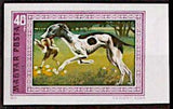 Hungary 1972 Hungarian Greyhound (Canis lupus familiaris)-Stamps-Hungary-Mint-StampPhenom