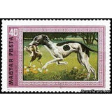 Hungary 1972 Hungarian Greyhound (Canis lupus familiaris)-Stamps-Hungary-Mint-StampPhenom
