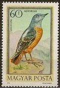 Hungary 1973 Airmails - Birds-Stamps-Hungary-StampPhenom