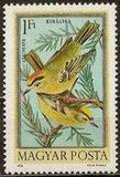 Hungary 1973 Airmails - Birds-Stamps-Hungary-StampPhenom