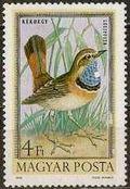 Hungary 1973 Airmails - Birds-Stamps-Hungary-StampPhenom