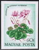 Hungary 1973 Cyclamen-Stamps-Hungary-Mint-StampPhenom