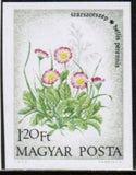 Hungary 1973 English Daisies (Bellis perennis)-Stamps-Hungary-Mint-StampPhenom