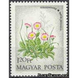 Hungary 1973 English Daisies (Bellis perennis)-Stamps-Hungary-Mint-StampPhenom