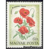 Hungary 1973 Poppies (Papaver rhoeas)-Stamps-Hungary-Mint-StampPhenom
