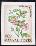 Hungary 1973 Provence Roses (Rosa gallica)-Stamps-Hungary-Mint-StampPhenom