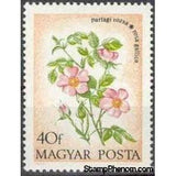 Hungary 1973 Provence Roses (Rosa gallica)-Stamps-Hungary-Mint-StampPhenom