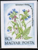Hungary 1973 Pulmonaria mollissima-Stamps-Hungary-Mint-StampPhenom