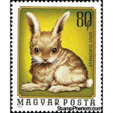 Hungary 1974 European Hare (Lepus europaeus)-Stamps-Hungary-Mint-StampPhenom