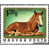 Hungary 1974 Foal (Equus ferus caballus)-Stamps-Hungary-Mint-StampPhenom