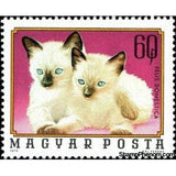 Hungary 1974 Kittens (Felis silvestris catus)-Stamps-Hungary-Mint-StampPhenom