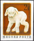 Hungary 1974 Lamb (Ovis ammon aries)-Stamps-Hungary-Mint-StampPhenom