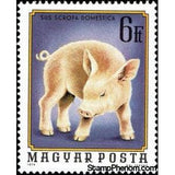 Hungary 1974 Piglet (Sus scrofa domestica)-Stamps-Hungary-Mint-StampPhenom