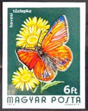 Hungary 1974 Purple-edged Copper (Palaeochrysophanus hippothoe)-Stamps-Hungary-Mint-StampPhenom