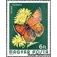 Hungary 1974 Purple-edged Copper (Palaeochrysophanus hippothoe)-Stamps-Hungary-Mint-StampPhenom