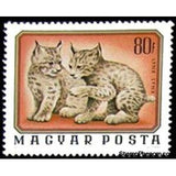 Hungary 1976 Eurasian Lynx (Lynx lynx)-Stamps-Hungary-Mint-StampPhenom