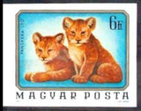 Hungary 1976 Lion (Panthera leo)-Stamps-Hungary-Mint-StampPhenom