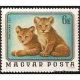 Hungary 1976 Lion (Panthera leo)-Stamps-Hungary-Mint-StampPhenom