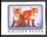 Hungary 1976 Red Fox (Vulpes vulpes)-Stamps-Hungary-Mint-StampPhenom