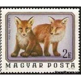 Hungary 1976 Red Fox (Vulpes vulpes)-Stamps-Hungary-Mint-StampPhenom