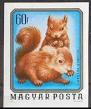 Hungary 1976 Red Squirrel (Sciurus vulgaris)-Stamps-Hungary-Mint-StampPhenom