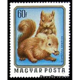 Hungary 1976 Red Squirrel (Sciurus vulgaris)-Stamps-Hungary-Mint-StampPhenom