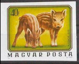 Hungary 1976 Wild Boar (Sus scrofa)-Stamps-Hungary-Mint-StampPhenom