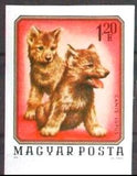 Hungary 1976 Wolf (Canis lupus)-Stamps-Hungary-Mint-StampPhenom