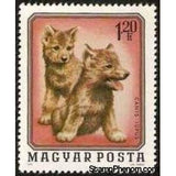 Hungary 1976 Wolf (Canis lupus)-Stamps-Hungary-Mint-StampPhenom