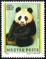 Hungary 1977 Bears-Stamps-Hungary-StampPhenom