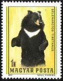 Hungary 1977 Bears-Stamps-Hungary-StampPhenom