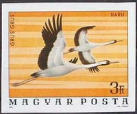 Hungary 1977 Common Crane (Grus grus)-Stamps-Hungary-Mint-StampPhenom