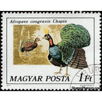 Hungary 1977 Congo Peacock (Afropavo congensis)-Stamps-Hungary-Mint-StampPhenom