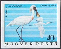 Hungary 1977 Eurasian Spoonbill (Platalea leucorodia)-Stamps-Hungary-Mint-StampPhenom