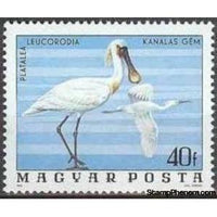 Hungary 1977 Eurasian Spoonbill (Platalea leucorodia)-Stamps-Hungary-Mint-StampPhenom