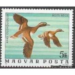 Hungary 1977 Garganey (Anas querquedula)-Stamps-Hungary-Mint-StampPhenom