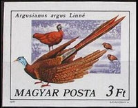 Hungary 1977 Great Argus (Argusianus argus)-Stamps-Hungary-Mint-StampPhenom