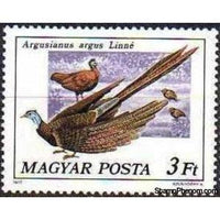 Hungary 1977 Great Argus (Argusianus argus)-Stamps-Hungary-Mint-StampPhenom